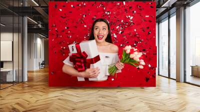 Portrait of her she nice-looking attractive glamorous lovely pretty lovable fascinating gorgeous cheerful cheery glad lady holding in hands romantic gifts isolated on bright vivid shine red background Wall mural