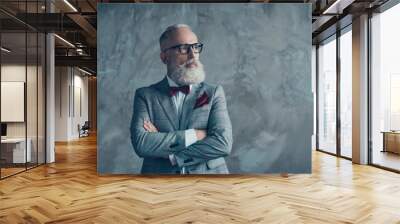 Portrait of modern luxurious trendy wealthy intelligent dreamy pensive stylish authoritative clever man wearing checkered grey jacket chic maroon bow-tie imagine smth, isolated on concrete background Wall mural