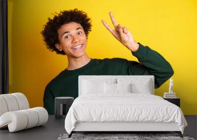 Portrait of nice young man show v-sign wear sweater isolated on yellow color background Wall mural