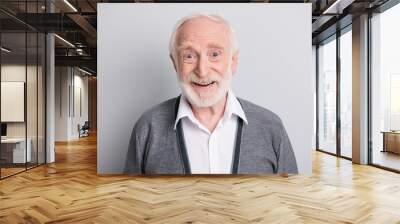 Portrait of old white hair optimistic man laugh wear dark sweater isolated on grey background Wall mural