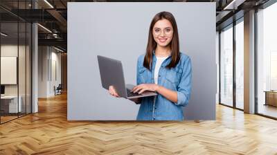 Portrait of positive cheerful clever intelligent ceo expert girl work laptop ready decide work solution wear stylish denim clothes isolated over gray color background Wall mural