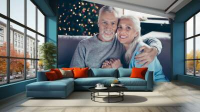 Portrait of sweet charming lovely adorable cheerful grey-haired  Wall mural