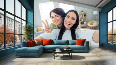 Portrait of two funky charming lady make selfie shoe v-sign eye wink blink tongue lick teeth pastime harmony flat indoors Wall mural