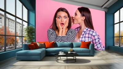 Portrait of two ladies speak share information whisper ear cant believe isolated on pink color background Wall mural