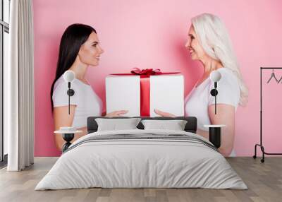 Profile photo of pretty old mother young daughter two ladies giving each other large gift box present affection feelings wear casual white t-shirts isolated pastel pink color background Wall mural