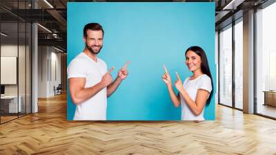 Profile photo of salesperson pair advising buy new product wear casual outfit isolated blue background Wall mural