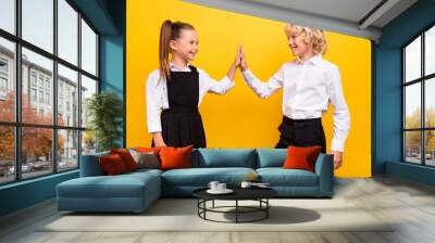 Profile photo of two schoolkids give high five done exam wear school uniform isolated yellow color background Wall mural