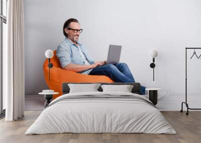 Profile side view of handsome clever cheerful mature man sitting on bean chair using laptop isolated over grey pastel color background Wall mural