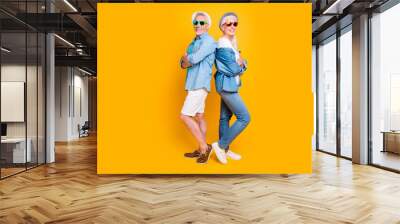 Style swag cool people concept. Photo portrait of two funny funky excited confident with toothy beaming smile gentleman lady standing back wearing denim casual clothes isolated bright background Wall mural