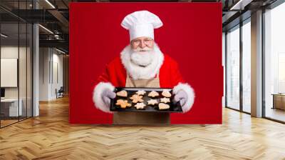 White grey hair bearded santa claus hold delicious x-mas eve noel cookies on baking sheet wear chef headwear apron costume isolated bright shine color background Wall mural