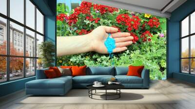 A Handful Of Plant Fertilizer Being Spread Around Flowers And Plants To Maintain Health And Growth. Wall mural