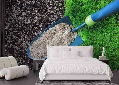 Grass Seeds On A Garden Trowel And Sown Seed On Prepared Soil. Wall mural