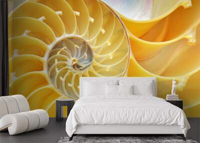 Close-up of a nautilus shell revealing its intricate patterns, textures, and details  Wall mural