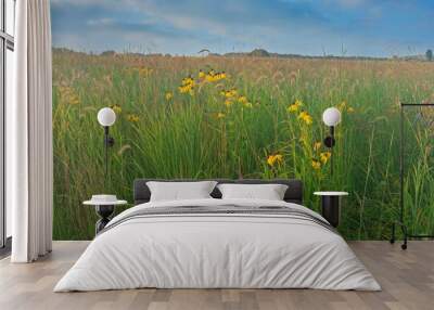 Summer tall grass prairie and wildflower meadow with yellow coneflowers, Michigan, USA Wall mural