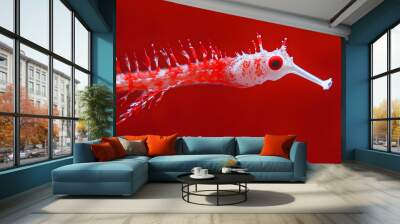 a ghost pipefish isolated on red background Wall mural