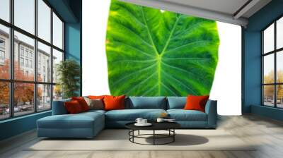 Green leaf heart shape isolated transparent background, bon leave cut-out  Wall mural