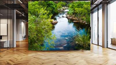 Calm Oasis, Small Babbling Brook In The Cederberg Wilderness, South Africa. A Stream or Clear Water and Green Foliage Wall mural