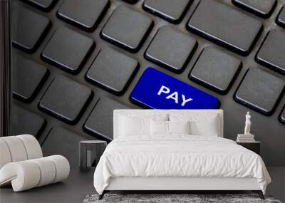 blue pay button on black keypad Wall mural