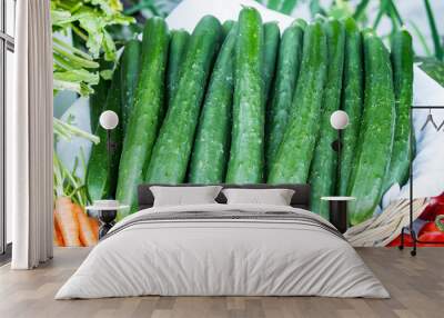 fresh green japanese cucumber in basket Wall mural