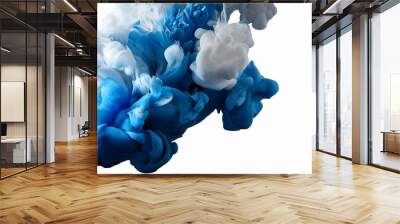 abstract colors mix of fluid art ink blue and white color paint drops in water slow motion of liquid ink isolated Wall mural