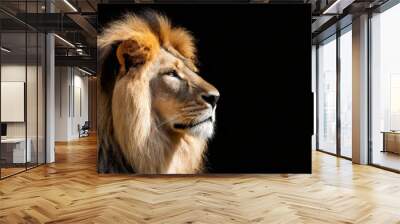 african lion profile portrait isolated on black background spectacular dramatic king of animals proud dreaming fantasy panthera leo looking forward stylized photo banner with copy space for text Wall mural