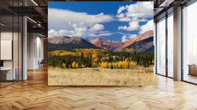 colorado rocky mountains in fall Wall mural