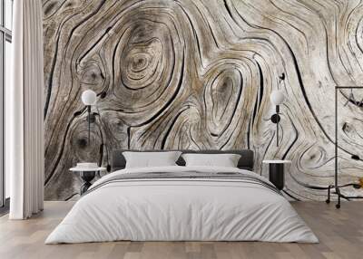 Natural tree wood background swirl pattern texture Wall mural