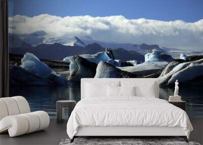 Panoramic view of icebergs and glaciers Wall mural