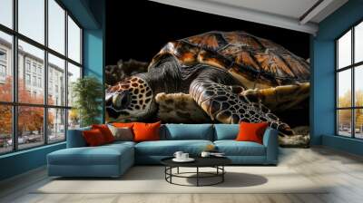 AI generated illustration of a close-up of a turtle lying in a shell on a dark background Wall mural