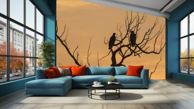 silhouette of two young eagles in a tree at sunset  Wall mural