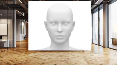 blank white female head - front view Wall mural