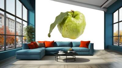 Fresh guava fruit with leaf on white background Wall mural