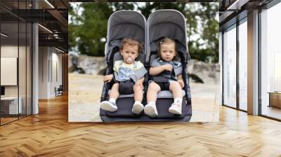 Fraternal twin baby girls sitting in stroller, baby carriage Wall mural