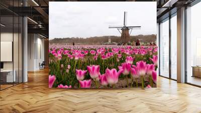 Windmills with tulips Wall mural