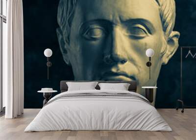 bronze color gypsum copy of ancient statue of germanicus julius caesar head for artists on black bac Wall mural