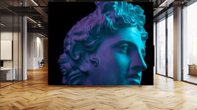 Gypsum copy of ancient statue Apollo head isolated on black background. Plaster sculpture man face. Wall mural