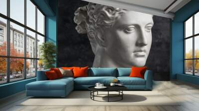 Gypsum copy of ancient statue Diana head on a dark textured background. Plaster sculpture woman face. Wall mural