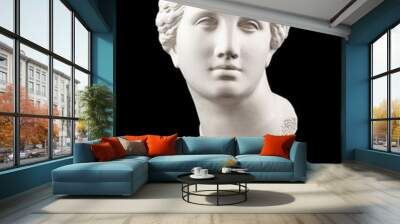 Gypsum copy of ancient statue Venus head isolated on black background. Plaster sculpture woman face. Wall mural