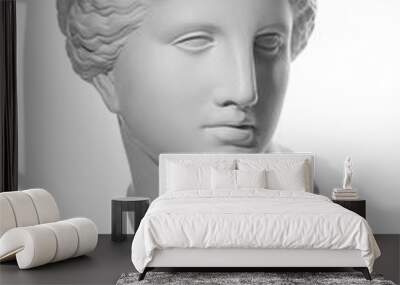 Gypsum copy of ancient statue Venus head isolated on white background. Plaster sculpture woman face. Wall mural