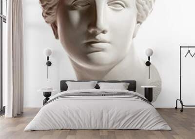 Gypsum copy of ancient statue Venus head isolated on white background. Plaster sculpture woman face. Wall mural