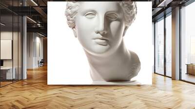 gypsum copy of ancient statue venus head isolated on white background. plaster sculpture woman face. Wall mural