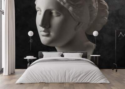 Gypsum copy of ancient statue Venus head on a dark textured background. Plaster sculpture woman face. Wall mural