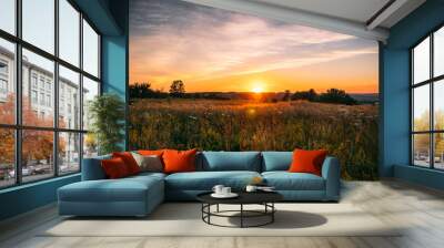 Beautiful summer sunset with waving wild grass in sunlight, rural meadow or field in countryside Wall mural