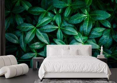 Green plant foliage nature background, top view. Fresh garden abstract foliage. Wall mural