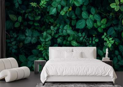 Green plant leaves background, top view. Nature spring concept Wall mural