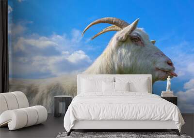 Portrait of a white goat against a bright blue sky  Wall mural