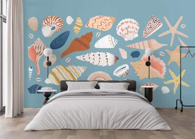 Set of diverse sea shell, aquatic life animals in flat cartoon style. Isolated marine seashell, star fish and more exotic wildlife. Summer vacation collection, tropical beach shells. Wall mural