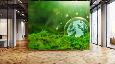 Crystal globe placed on moss. ESG icon. Concept for environment. Society and Governance sustainable global environment concept Wall mural