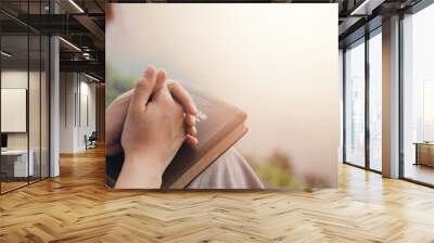 girl's hand sitting praying for god's blessing Along with coming to heal a peaceful life with nature. and the Holy Word Wall mural