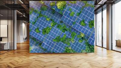 Solar panels installed in the green forest Clean alternative energy concept. Environment, solar energy, generator. Wall mural